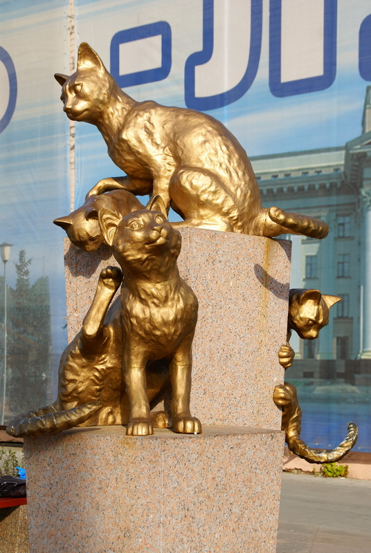 Сквер сибирских кошек фото