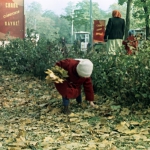 Снимок  в парке Островского Ростова-на-дону.</br>
Город Ростов-на-дону в 1970-ых годах.