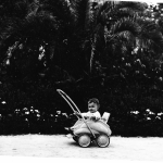 На фото Краснодарский парк имени Горького. Дата фотографии 1962 год.
