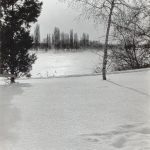 Природа Краснодара зимой. Фото сделано в 1980 году.