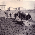 Центральный парк в Тольятти 1960 год. В последствии деревья выросли, а после их спилили.