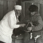 Фотография Иркутского питомника лаек. На снимке старший ветеринарный врач С.И. Александров (слева) и старший егерь А.В. Кондратьев (справа) осматривают щенят. Снимок был сделан в 70-х годах.