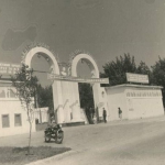 Куйбышев (Самара). Фотография центрального парка культуры и отдыха.
Фотография начала 1960-х годов. Фотограф Золотухин А.И.